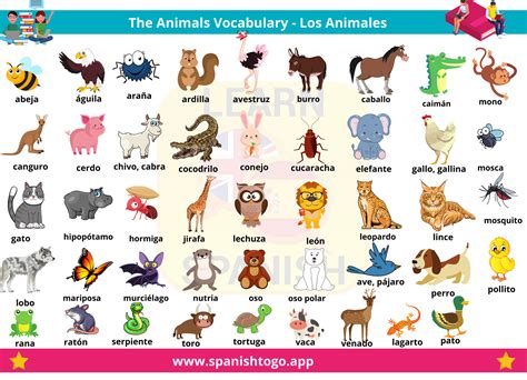 animal vocabulary in spanish.